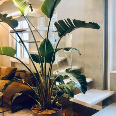 decorazioni con microcemento